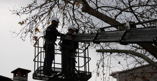 Tehlike arz eden dallar hafta sonu budandı