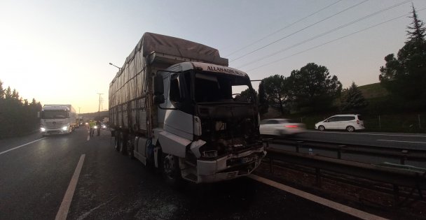 Tem'de Tır İle Kamyon Çarpıştı: Sürücüyü Vatandaşlar Ön Camdan Çıkardı