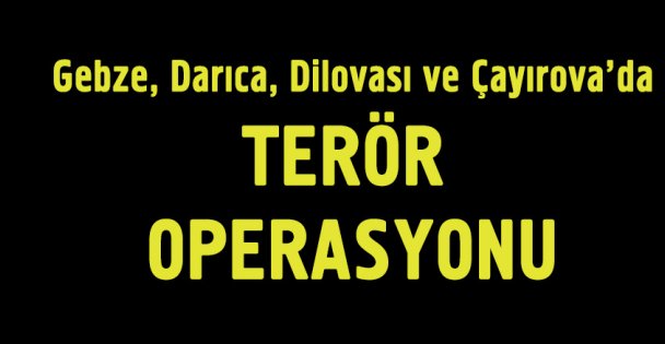 Terör Operasyonu