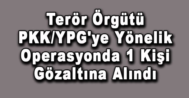Terör Örgütü PKK/YPG'ye Yönelik Operasyonda 1 Kişi Gözaltına Alındı