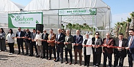 Bahçem Çayırova’nın kurdelesi kesildi