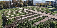 Büyükşehir’den Gölcük’e yeni mezarlık alanları