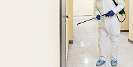 Ev ve İş Yerleri İçin Etkili Böcek İlaçlama Yöntemleri