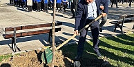 Fidanlar Toprakla Buluşturuldu
