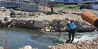 İzmit Körfezi’nde su kalitesi yakın takipte