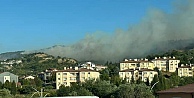 Karamürselde orman yangını