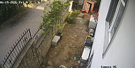 Karganın yumurta hırsızlığı kameraya yansıdı