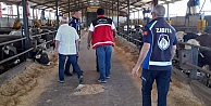 KARTEPEDE KURBAN KESİM YERLERİ DENETLENİYOR