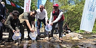 Kirazdere’ye 2 yılda 16 bin alabalık salındı