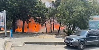 Kocaelide ağaçlık alanda yangın çıktı, 4 kişi dumandan etkilendi