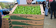 Kocaeli’de çiftçilere sebze fidesi desteği