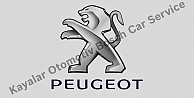 Kocaelide Peugeot Araç Sahipleri İçin Profesyonel Servis Deneyimi