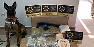 Kocaelinde uyuşturucu operasyonu: 9 bin 900 ecstasy hap ele geçirildi