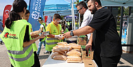 Körfezde 1 ton atık toplandı