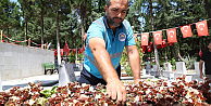 Mezarlık ve Şehitliklerde Kapsamlı Bakım Çalışması