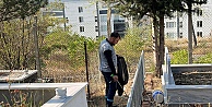 Mezarlıklar, Büyükşehir’le pırıl pırıl