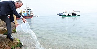 Ölümün kıyısından yeniden dirilişe