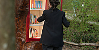 Orman Kütüphanesinde okuma keyfi bambaşka