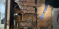 Osmangazi Köprüsü girişinde 9 kilo kokain maddesi ele geçirildi