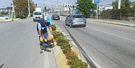 Salim Dervişoğlu Caddesi’nde sonbahar budaması