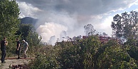 Sazlık alanda korkutan yangın