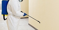 Uzman Kadro ile Etkili Böcek İlaçlama Çözümleri