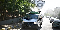 Vektörle mücadele aralıksız devam ediyor
