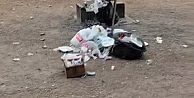 Yediler, içtiler, eğlendiler pisliği doğaya bırakıp gittiler