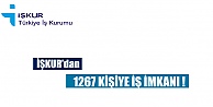 1267 Eleman Alınacak!