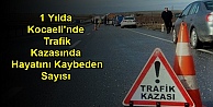 1 Yılda Kocaeli'nde Trafik Kazasında Hayatını Kaybeden Sayısı