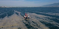 50 günde 150 ton deniz salyası toplandı