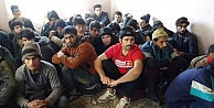 51 düzensiz göçmen yakalandı