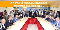 Ak Parti İl Başkanlığı'na Ellibeş atandı