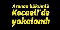 Aranan hükümlü Kocaeli'de yakalandı