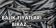 Balık fiyatları biraz düştü!