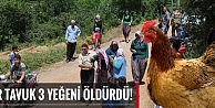 Bir tavuk 3 can aldı!