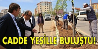 Cadde yeşille buluştu!