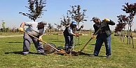 Çayırova Belediyesi Tarafından İlçeye Dördüncü Mesire Alanı Yapılıyor