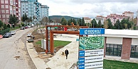 Çayırova'daki dev parkta ilerleme % 85