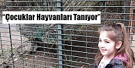 'çocuklar hayvanları tanıyor”