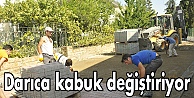 Darıca kabuk değiştiriyor