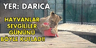 Darıca'da hayvanlar sevgililer günü kutladı!