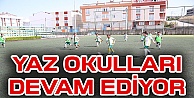 Darıca'da Yaz Spor Okulları Devam Ediyor