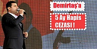 Demirtaş'a 5 ay hapis cezası