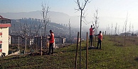 Denetimli serbestlik hükümlüleri fidan dikti