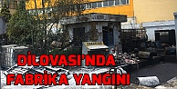 Dilovası'nda fabrika yangını