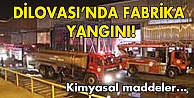 Dilovası'nda fabrika yangını!