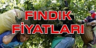 Dolardaki Artış Fındık Fiyatlarını Etkileyecek Mi?