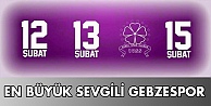 En büyük sevgili Gebzespor!