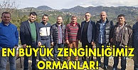 En büyük zenginliğimiz Ormanlar!